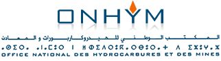 chef de service parc et réseau informatique