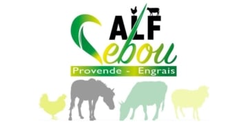 Recrutement: Alf Sebou recrute à Kénitra: plusieurs postes disponibles dès maintenant
